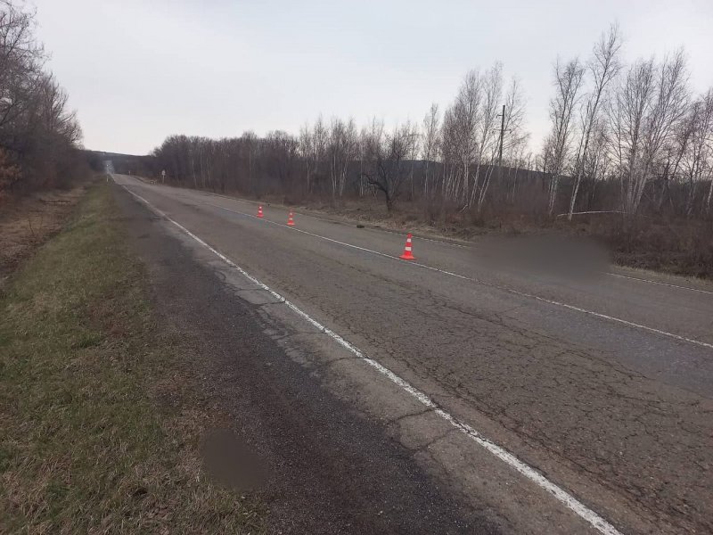 Полиция Приморского края разыскивает водителя, совершившего смертельное ДТП в Михайловском районе